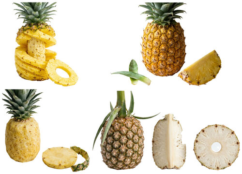 A collection of pineapple forms and preparations, including whole, sliced, grilled, dried, frozen, and colorful varieties.