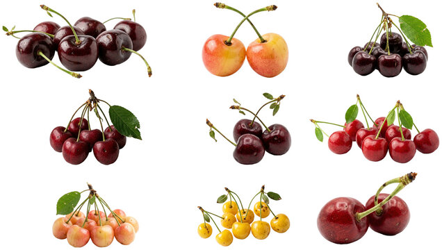 A collection of assorted cherry varieties shown as fresh stemmed fruits on a clean white background.
