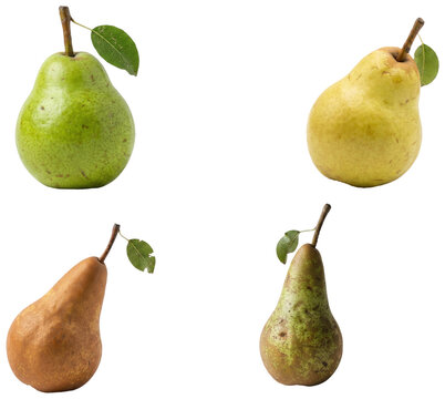 A collection of assorted pear varieties shown as isolated studio fruit cutouts on white.