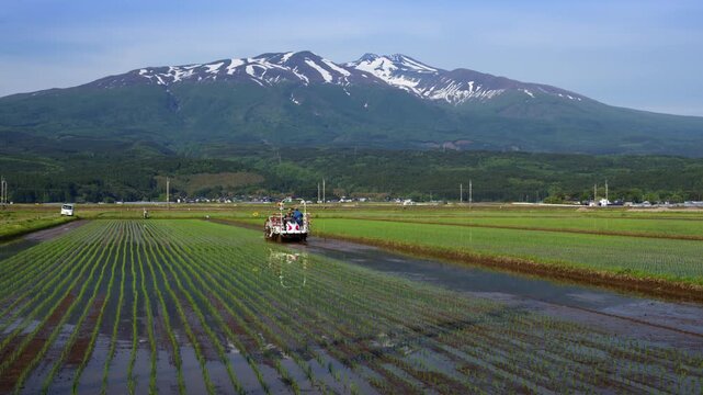 田植え中の水田と鳥海山　近づいて来る田植え機　ワイドショット