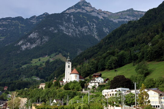 Fl&uuml;elen in der Schweiz vor einem Bergpanorama im Sommer