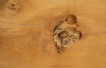 Textura de madera natural con nudo envejecido y vetas orgánicas, fondo rústico de tablón de madera © Manuela