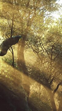In a tranquil forest, soft light filters through leafy trees, casting gentle shadows. Hidden among the foliage, a sense of mystery and peace fills the air as nature thrives.