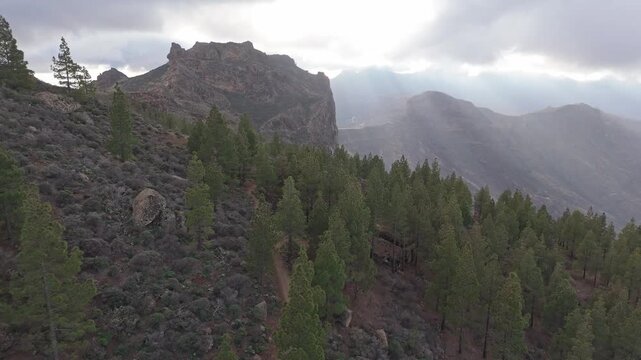 Aerial drone shot pushing in over a rugged pine forest mountain landscape on the Canary Islands. Discover the remote, dramatic scenery with cliffs and a deep valley.