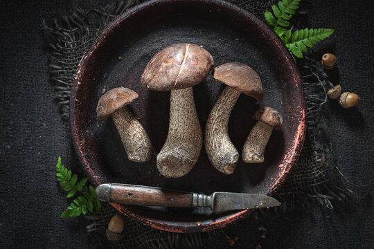 Unique and noble mushrooms freshly picked from forest.