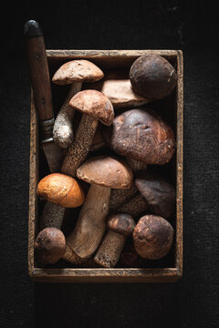 Unique and noble mushrooms in old wooden box.