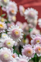 Naklejka premium Beautiful flower