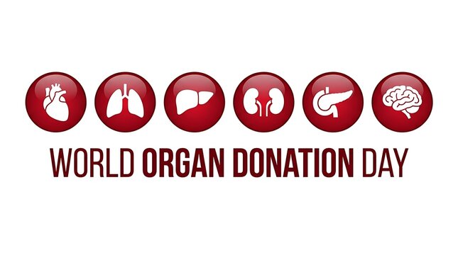 World Organ Donation Day Awareness Banner with Human Organs.
