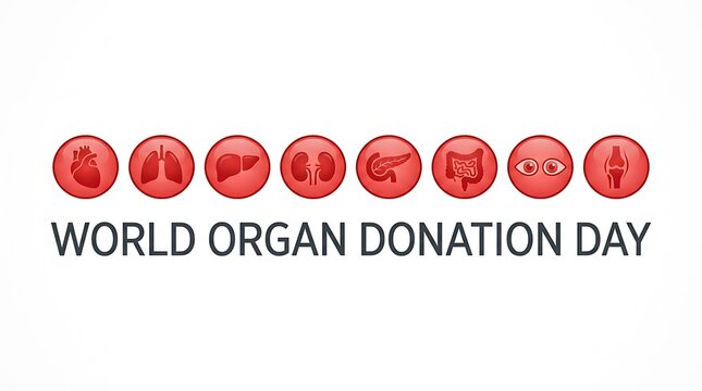World Organ Donation Day Awareness Banner.
