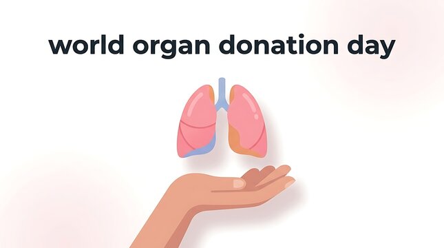 World Organ Donation Day - Hand Holding Lungs for Transplant.
