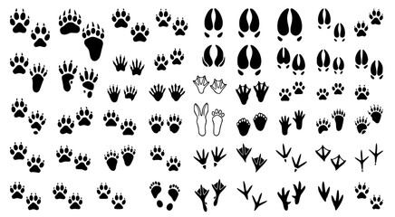 Obraz premium Comprehensive collection of animal footprint and paw print silhouettes including bird tracks for wildlife and nature design projects