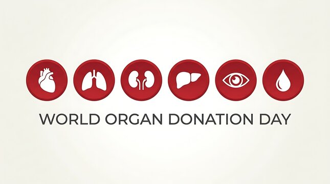 World Organ Donation Day - Heart, Lungs, Kidneys, Liver, Eye, Blood Icons.