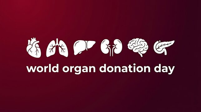 World Organ Donation Day - Promoting Awareness and Saving Lives.