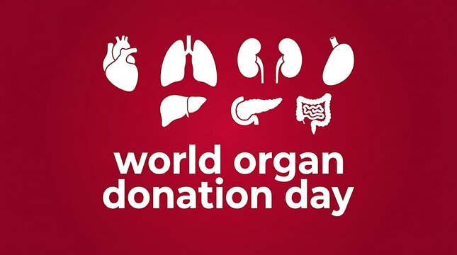 World Organ Donation Day - Promoting Awareness and Life-Saving Contributions.