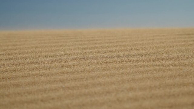 Sand ripples texture on beach with soft blue sea background