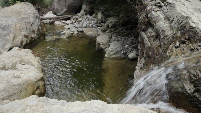 S&uuml;&szlig;wasserquellen bewahren &ndash; Kleine B&auml;che, gro&szlig;e Bedeutung