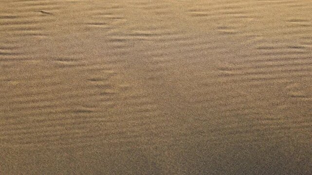 Desert sand texture with natural wind formed ripple patterns across golden dune surface in arid landscape