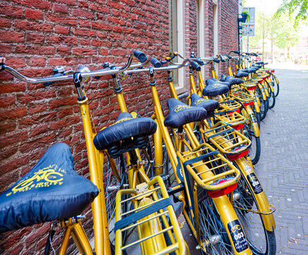 Gold Rental Bicycles, The Hague