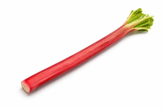 A single stalk of vibrant red rhubarb with green leaves, isolated on white