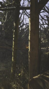 Soft morning light spills into a tranquil forest clearing, casting gentle shadows on sturdy wooden posts. Nearby, nature awakens with the sounds of rustling leaves and chirping birds.