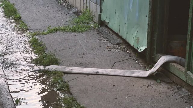 Fire Hose Pumping Water from Boiler Room onto Wet Pavement | Emergency Flood Drainage Through Canvas Hose Outdoors | Utility Maintenance Accident Scene