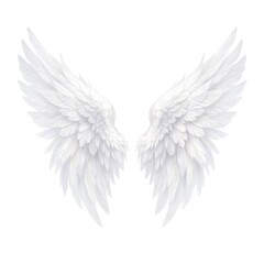 Obraz premium Elegant white angelic wings illustration.