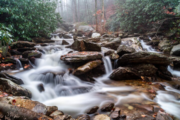 cascades in the forest © John