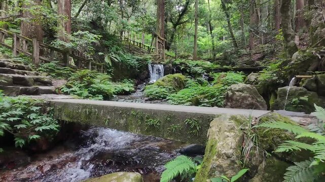 ドローンで撮る日本の風景　名水百選に選ばれる福井県若狭町の瓜割の滝　筧と石橋の手前から低空でゆっくり前進する空撮映像