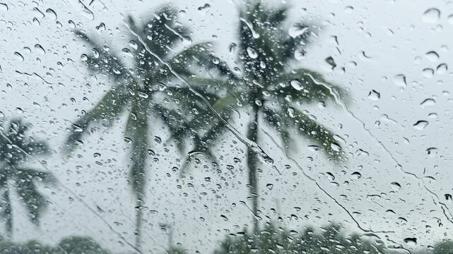 Heavy rain drops covering car windshield during hurricane with blurred palm trees bending in strong wind in background