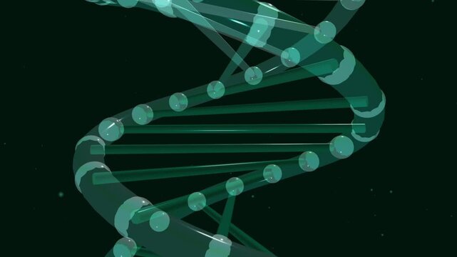 3D Scientific Animation of a DNA Double Helix Structure Representing Genetic Code and Molecular Biology