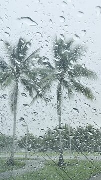 Vertical video of heavy rain drops covering car windshield during hurricane with blurred palm trees bending in strong wind