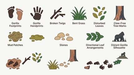 Fototapeta premium Gorilla Tracking and Foraging Signs Icon Collection Illustrating Forest Wildlife Observation and Biodiversity Research