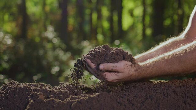 Soil Falling Through Hands. Man Holding Soil Outdoors. Hands Cupping Earth. Environmental care concept in nature. Hands touching fresh soil. Natural earth in human hands.