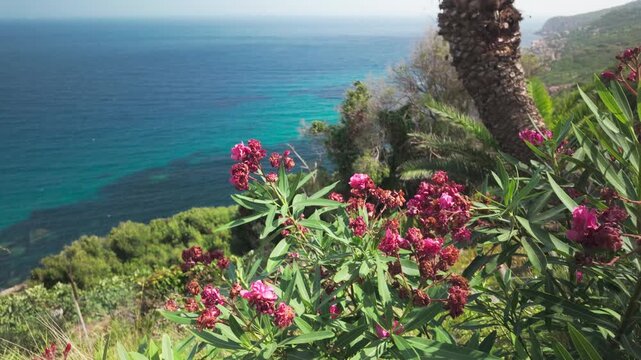 Scenic View of the Atlantic Ocean and Blooming Flowers at Cap Spartel in Tangier, Morocco