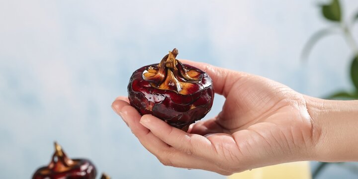Fresh water chestnut in hand close up, healthy organic root vegetable concept for cooking and nutrition
