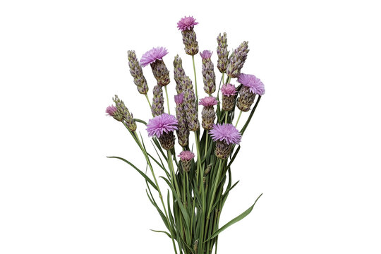 Rustic bouquet of purple thistle flowers and lavender spikes