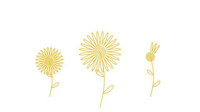 Sunflower Trio Elegant Botanical Composition Motion Graphic 4K