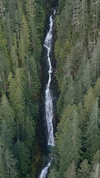 Majestic Waterfall Cascading Through Ancient Evergreen Forest in British Columbia, Canada