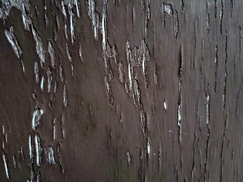 Abstract wood textured background with vertical streaks of light and dark colors.