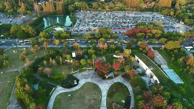 Static Aerial View of Park and Moving Traffic Near Sheshan