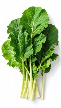 A vibrant bunch of fresh, leafy green vegetables with thick, pale stems