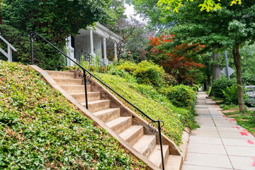 Obraz premium Concrete steps climb through dense greenery toward a shaded Washington DC porch.