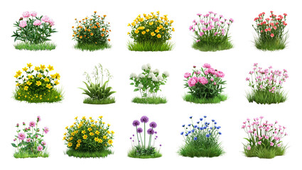 Obraz premium PNG Colorful flowering garden plant collection isolated on transparent