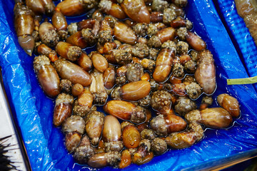 Fototapeta premium Fresh seafood at traditional market