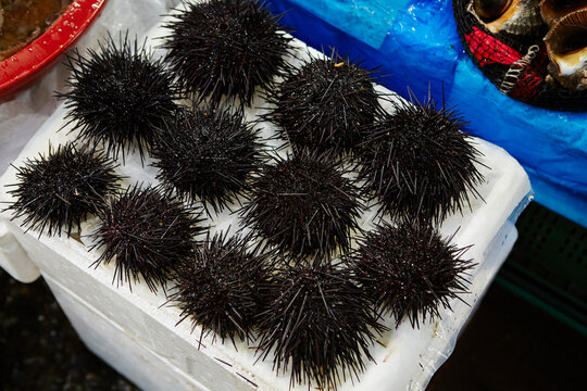 Fresh seafood at traditional market