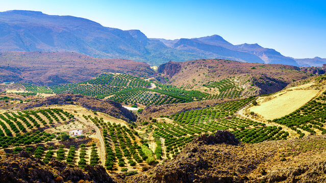 Xerokambos landscape