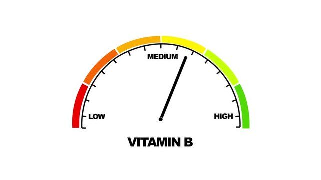 Vitamin b level gauge meter animation showing nutritional status