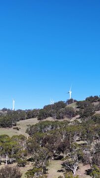 Wind Turbines Spinning on Forested Hillside in New South Wales