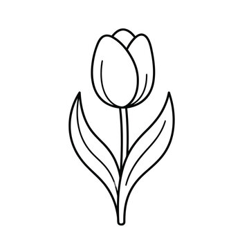 Black and white outline drawing of a tulip flower