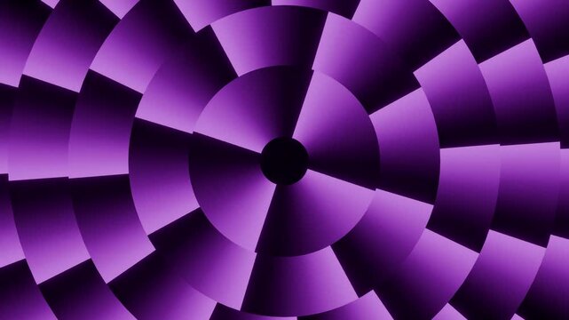 Purple radial fan segments around a dark center